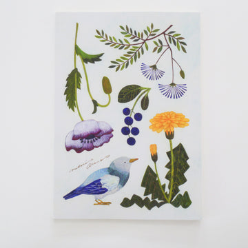 Kotori and Nonohana A5 Sized Notebook