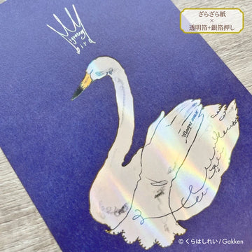 Rei Kurahashi Postcard (Swan)