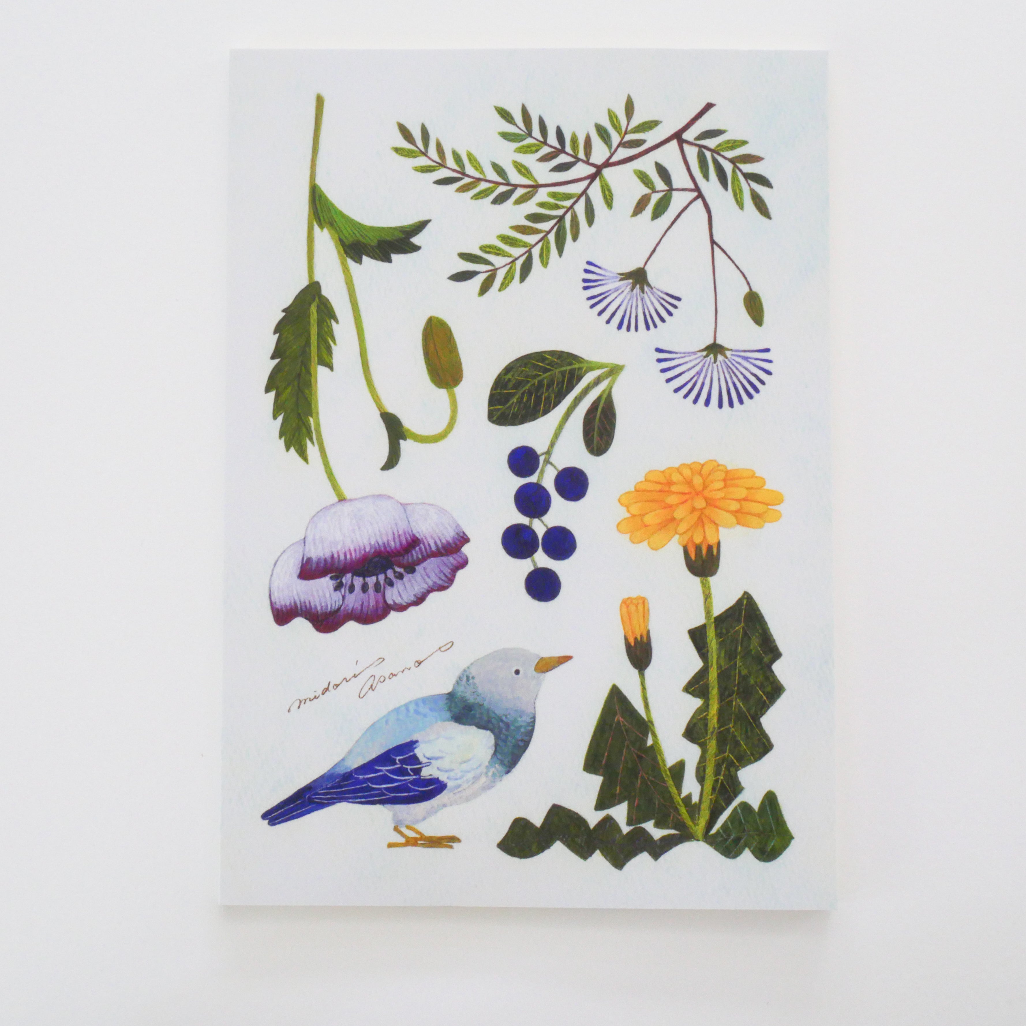 Kotori and Nonohana A5 Sized Notebook