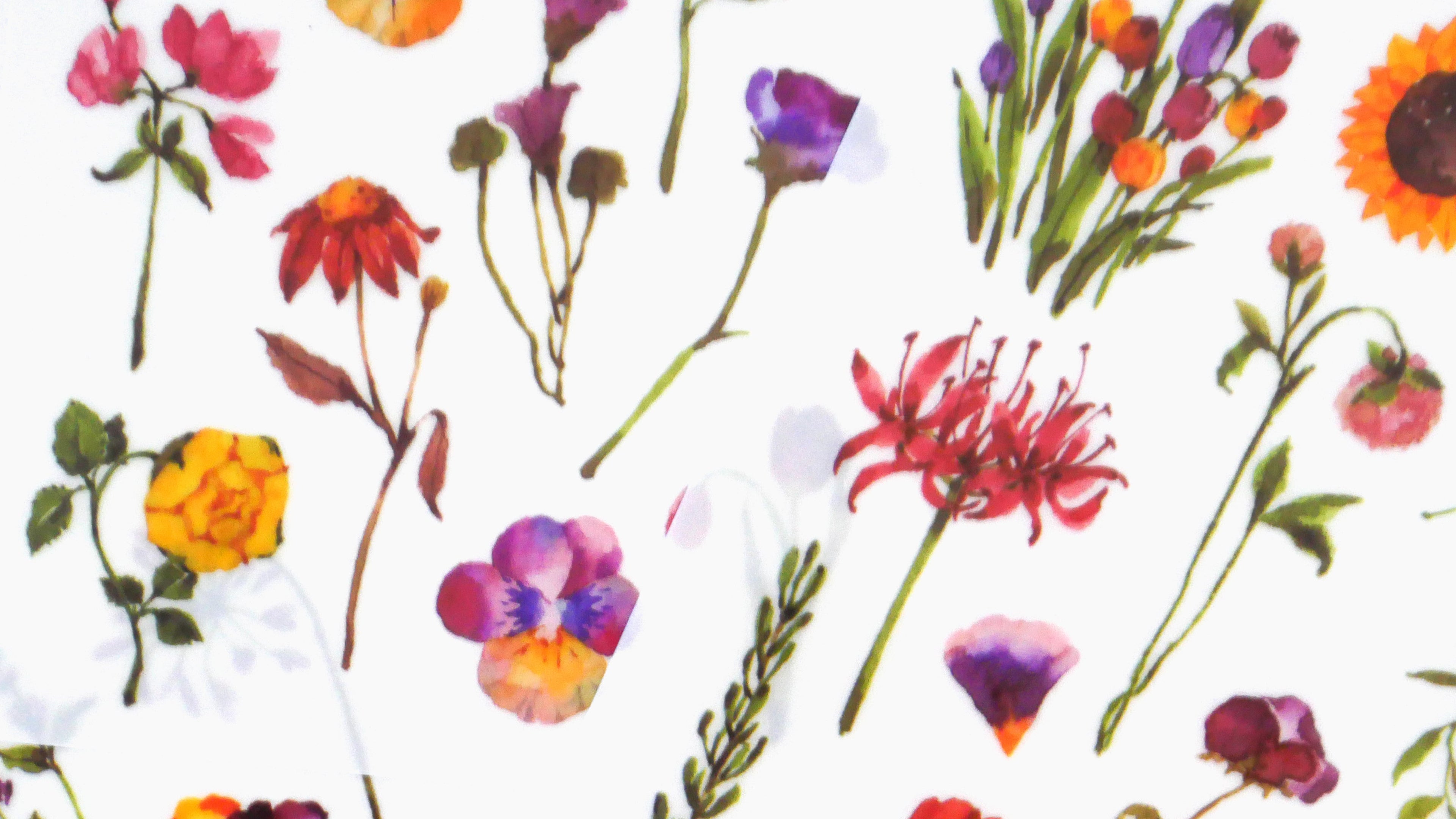 slider image 1621243260e1af0c20-0