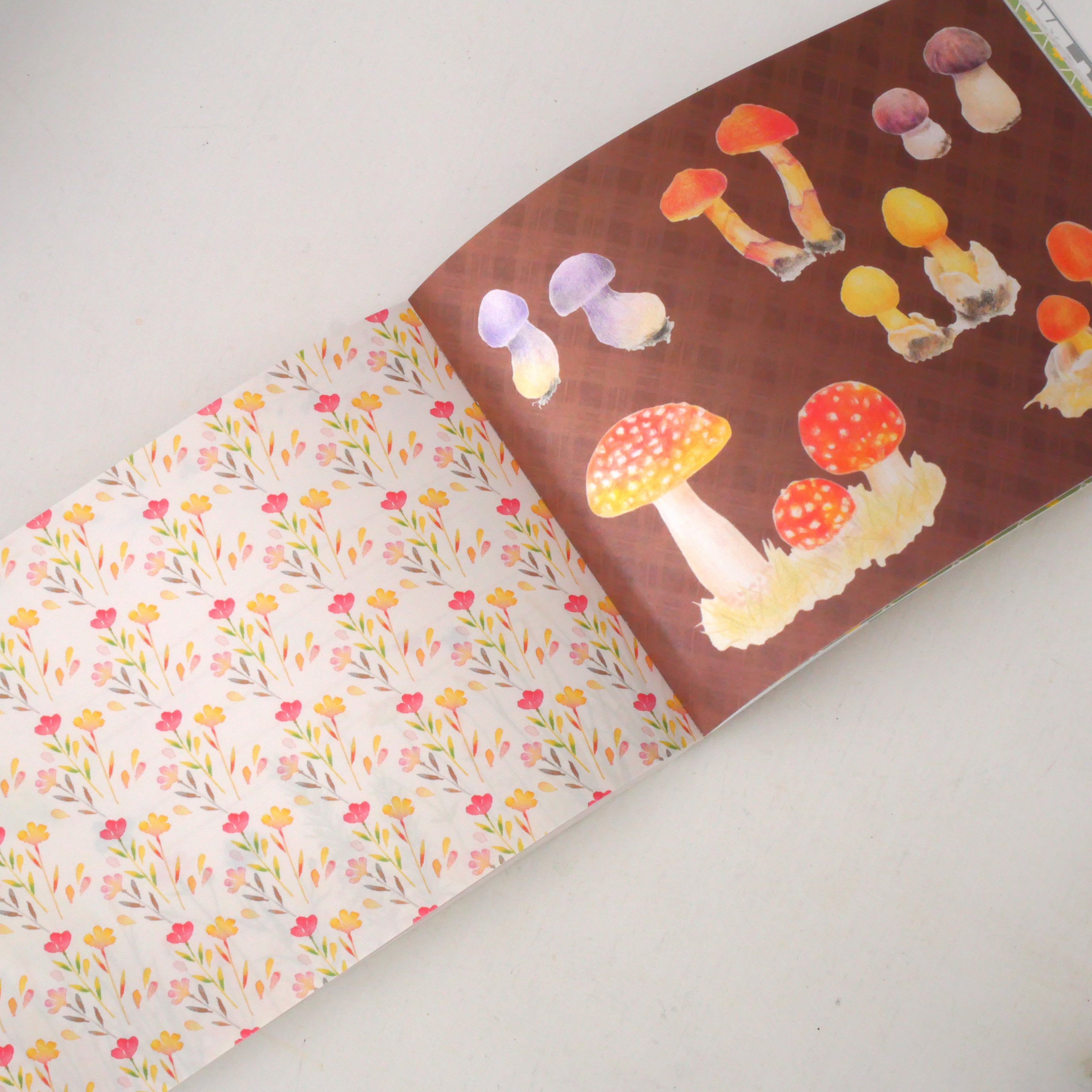 100 Writing and Crafting Papers -Flowers and Animals from Fairyland