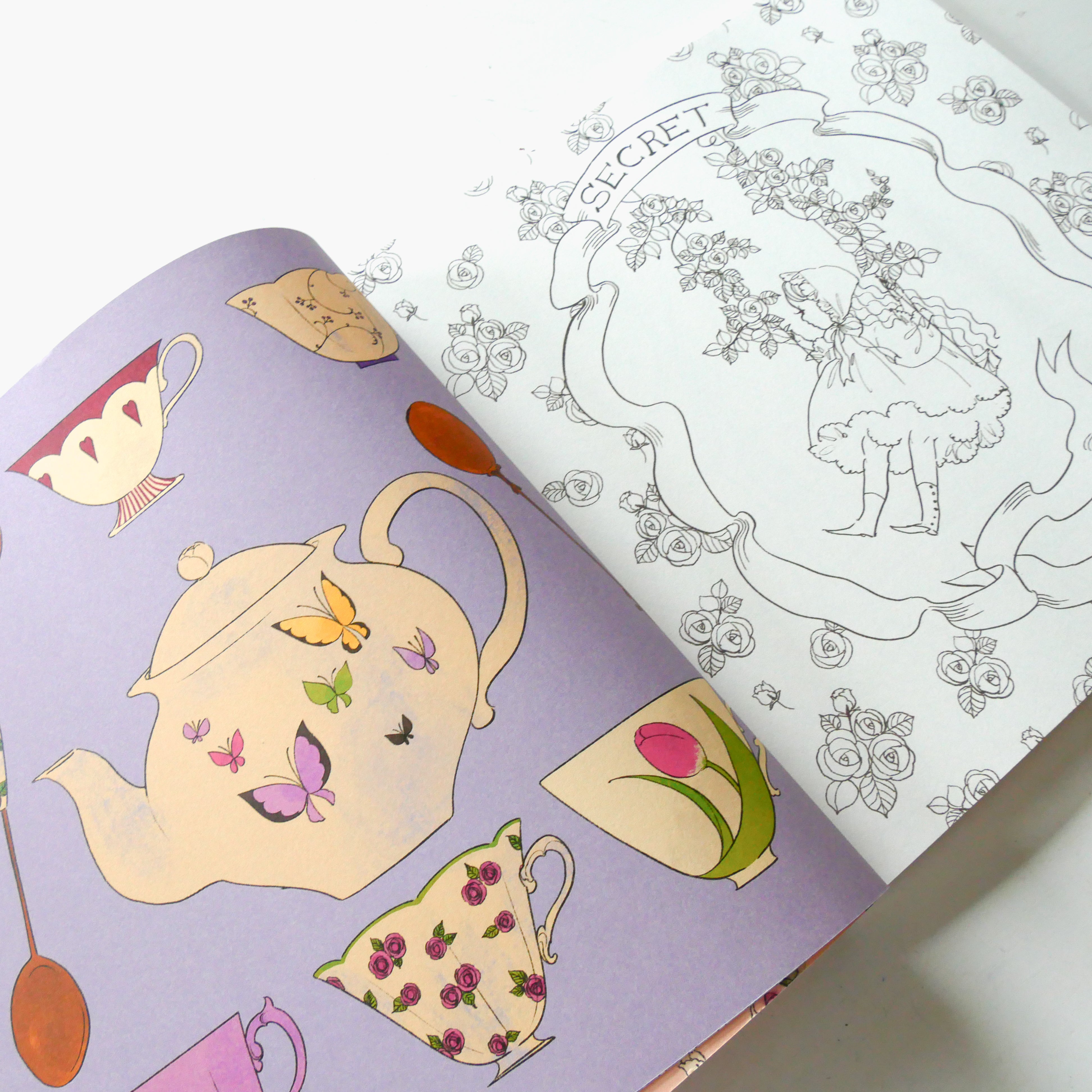 Kurahashi Rei Colouring Book: A Secret Story