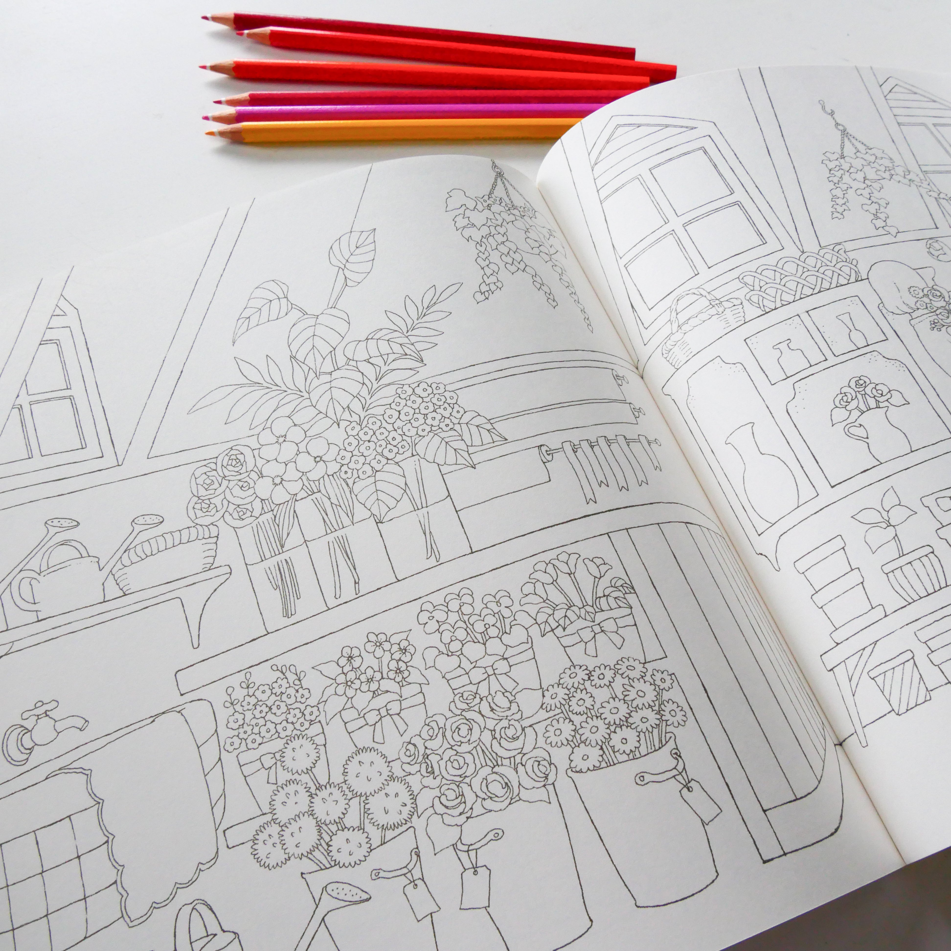 My coloring book BOOK: The store of my dreams