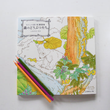 My Coloring Book: Animals in the Forest