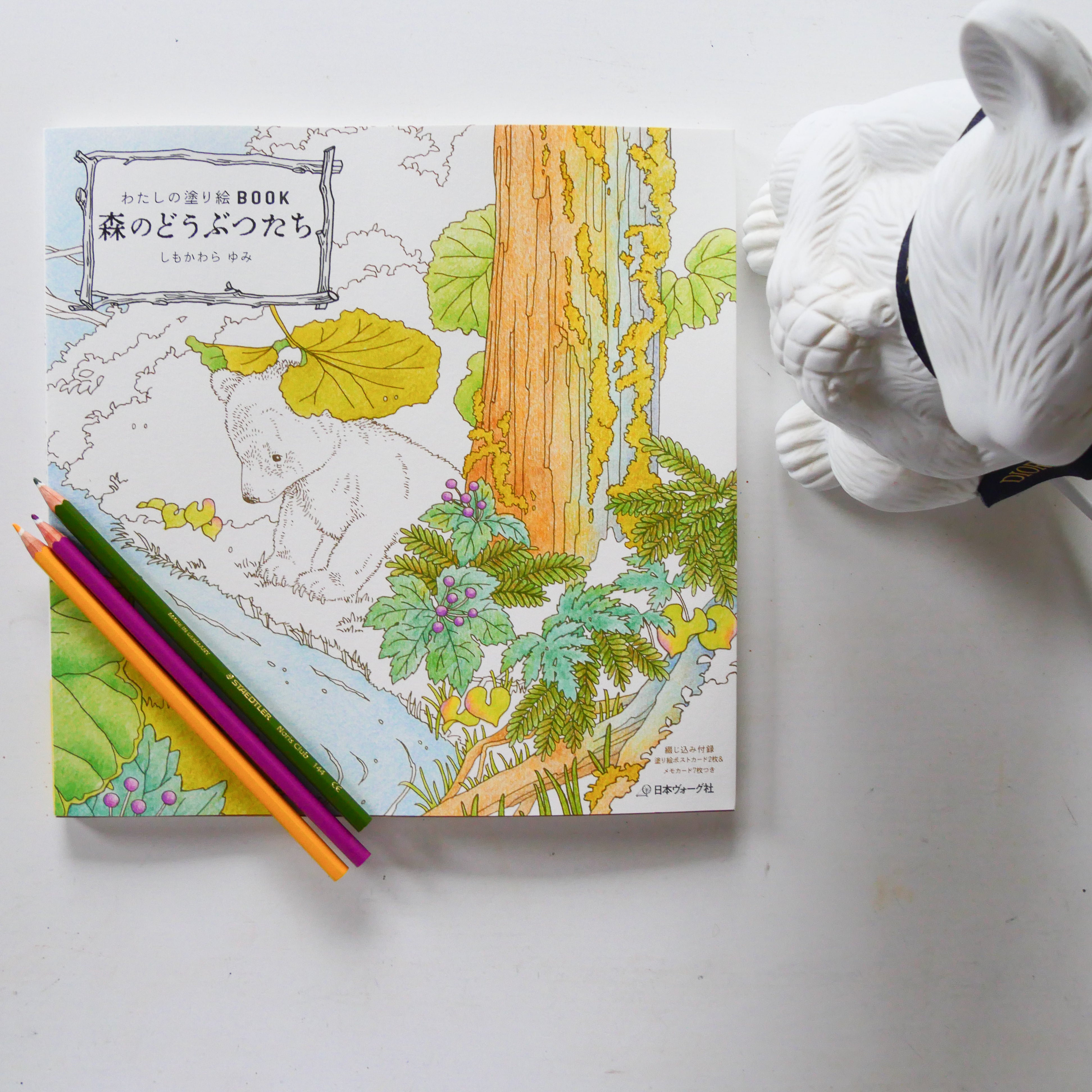 My Coloring Book: Animals in the Forest