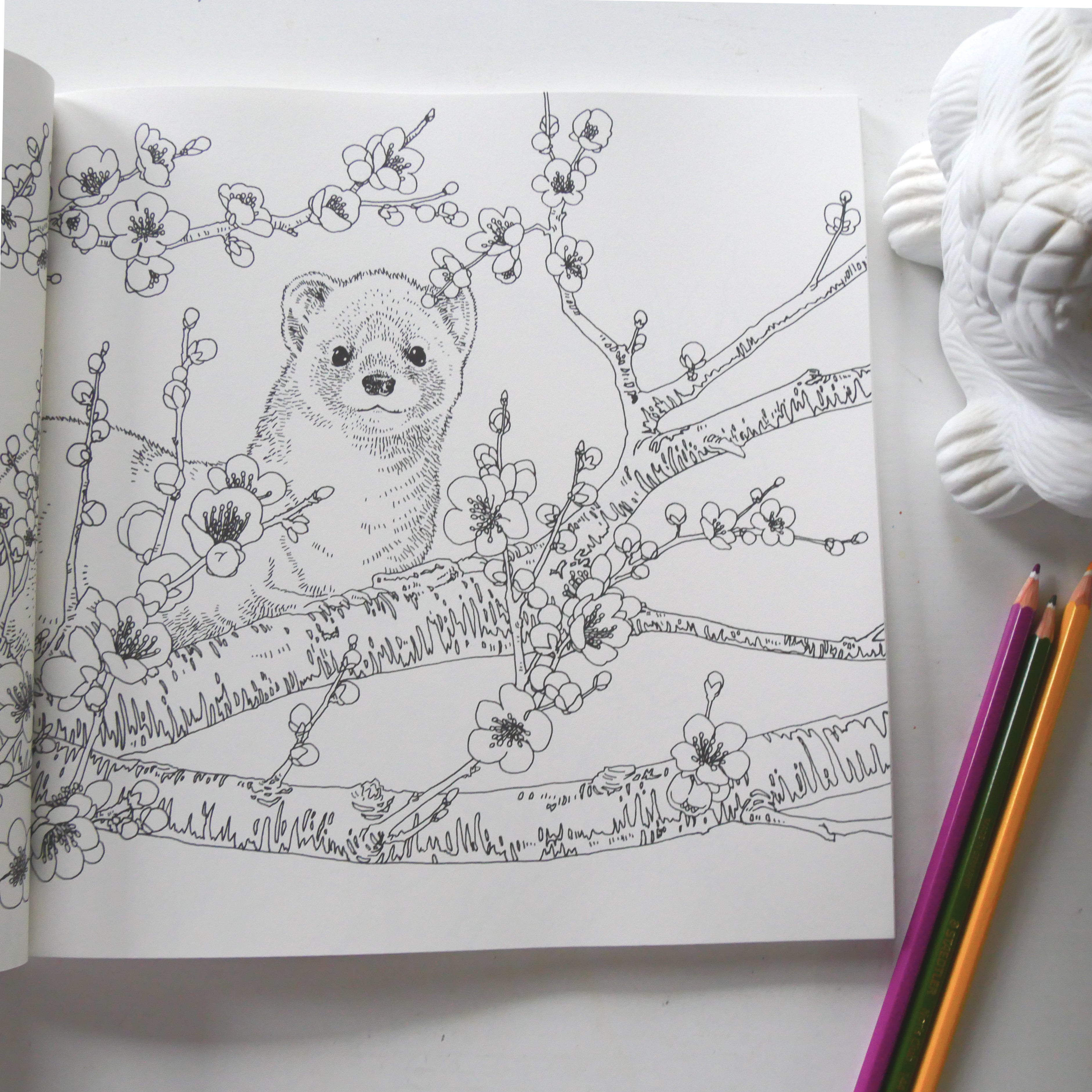 My Coloring Book: Animals in the Forest