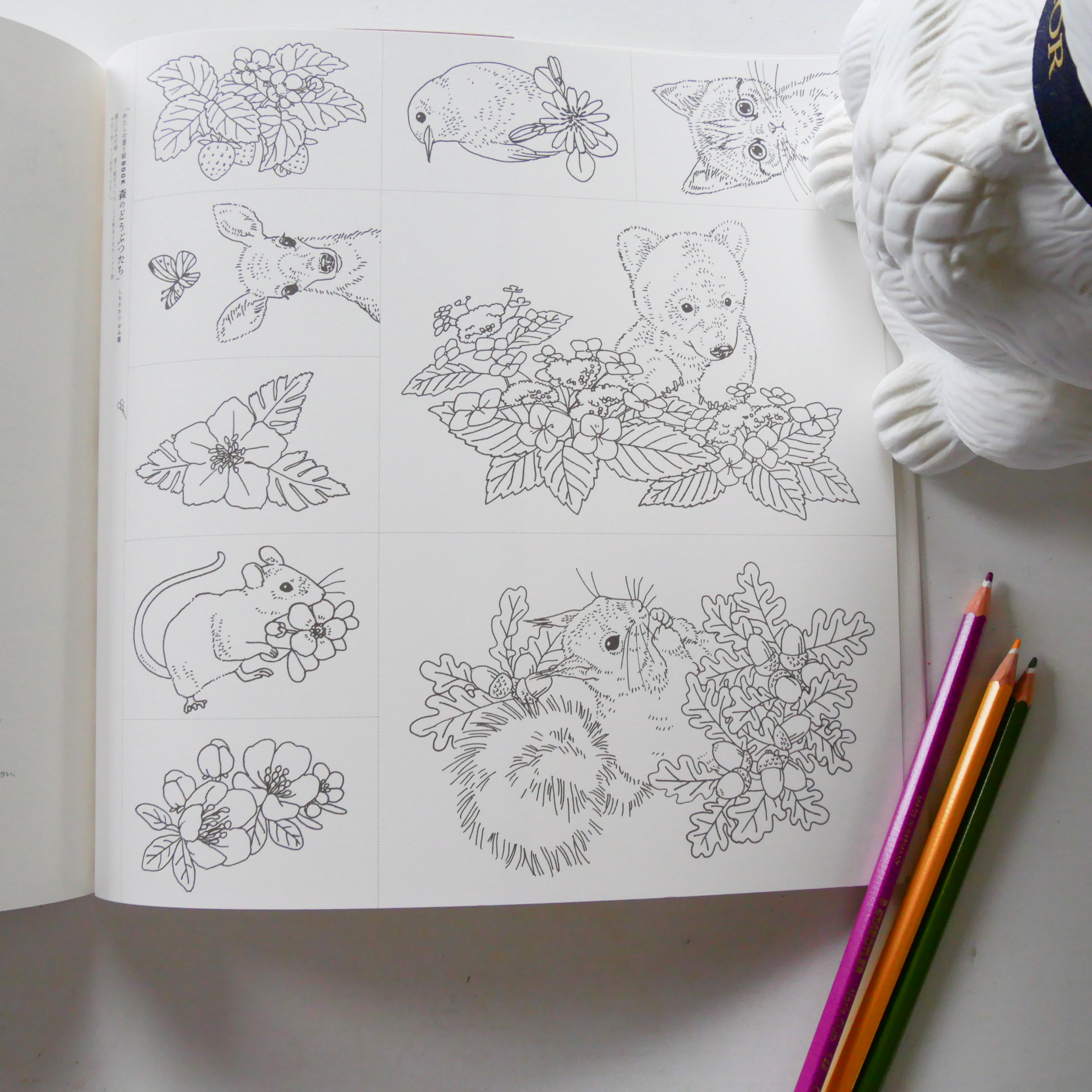 My Coloring Book: Animals in the Forest