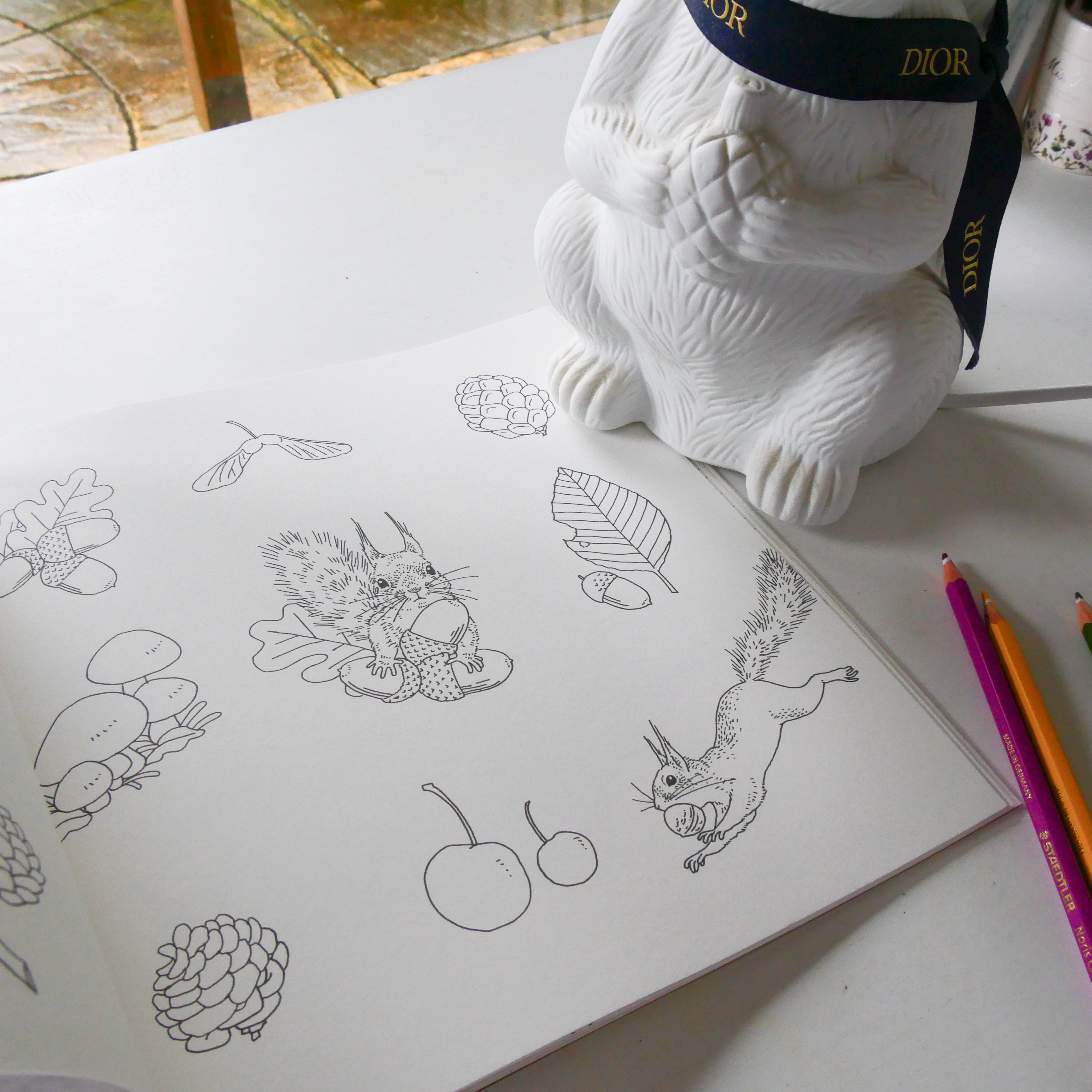 My Coloring Book: Animals in the Forest