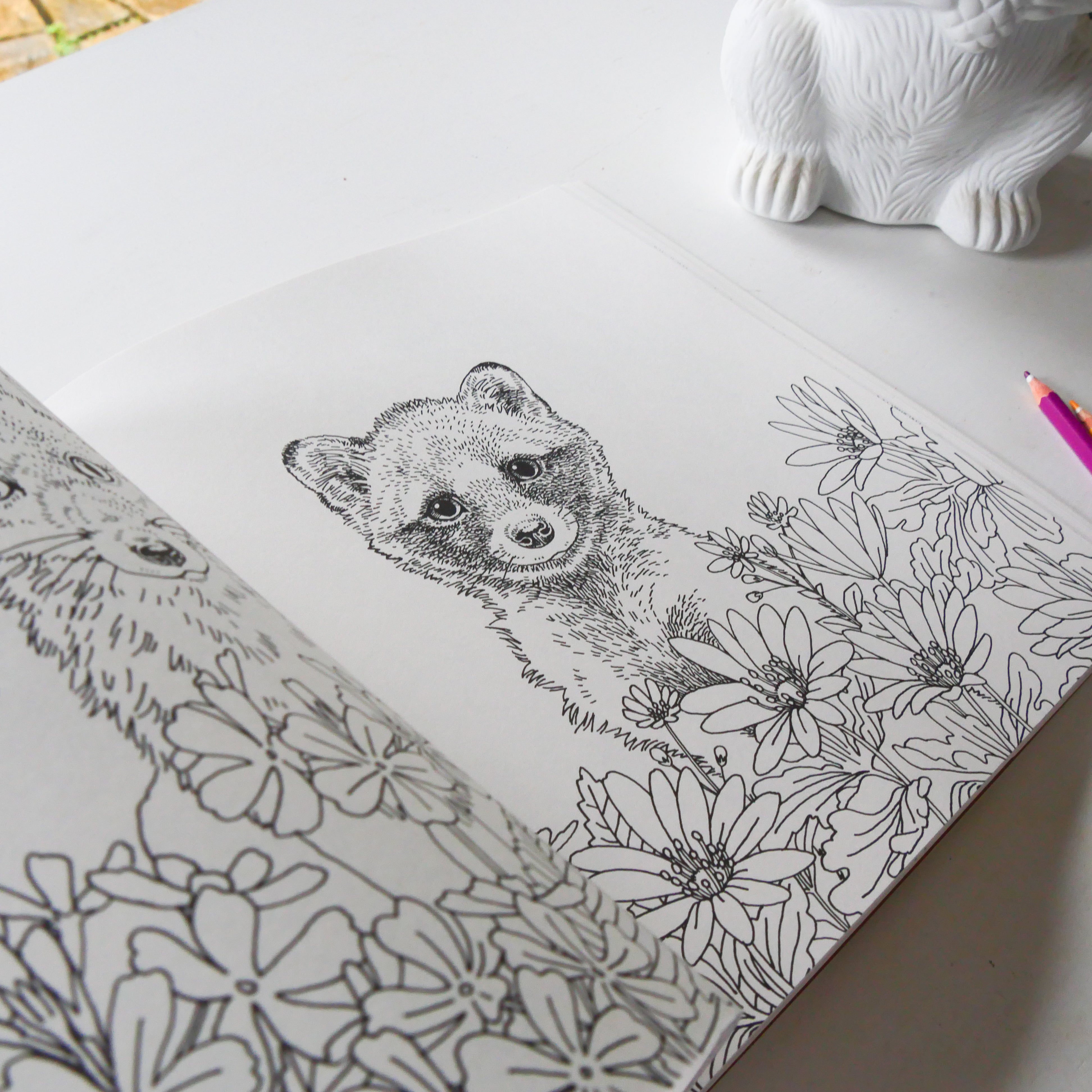 My Coloring Book: Animals in the Forest