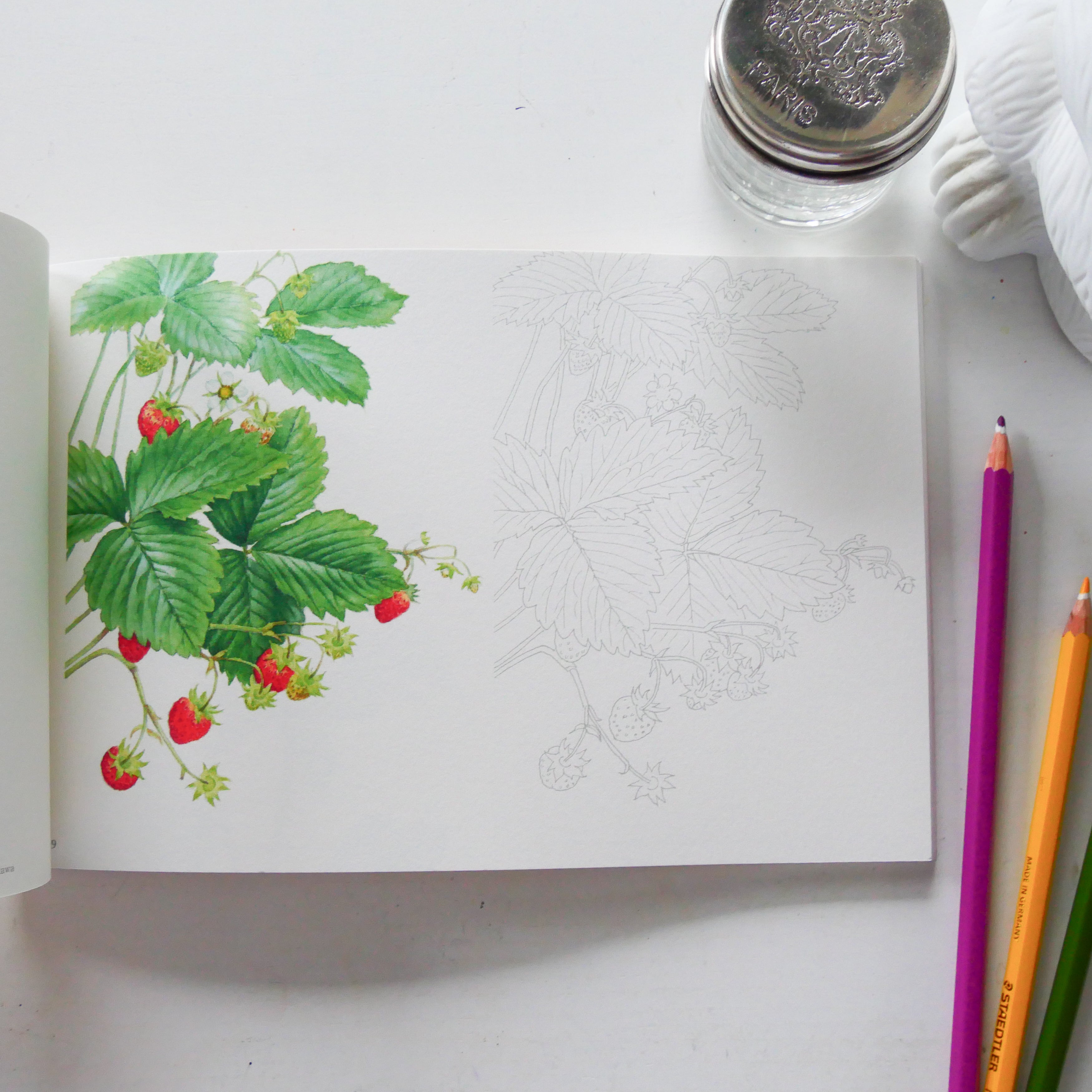Postcard-size coloring book: Fragrance of Flowers