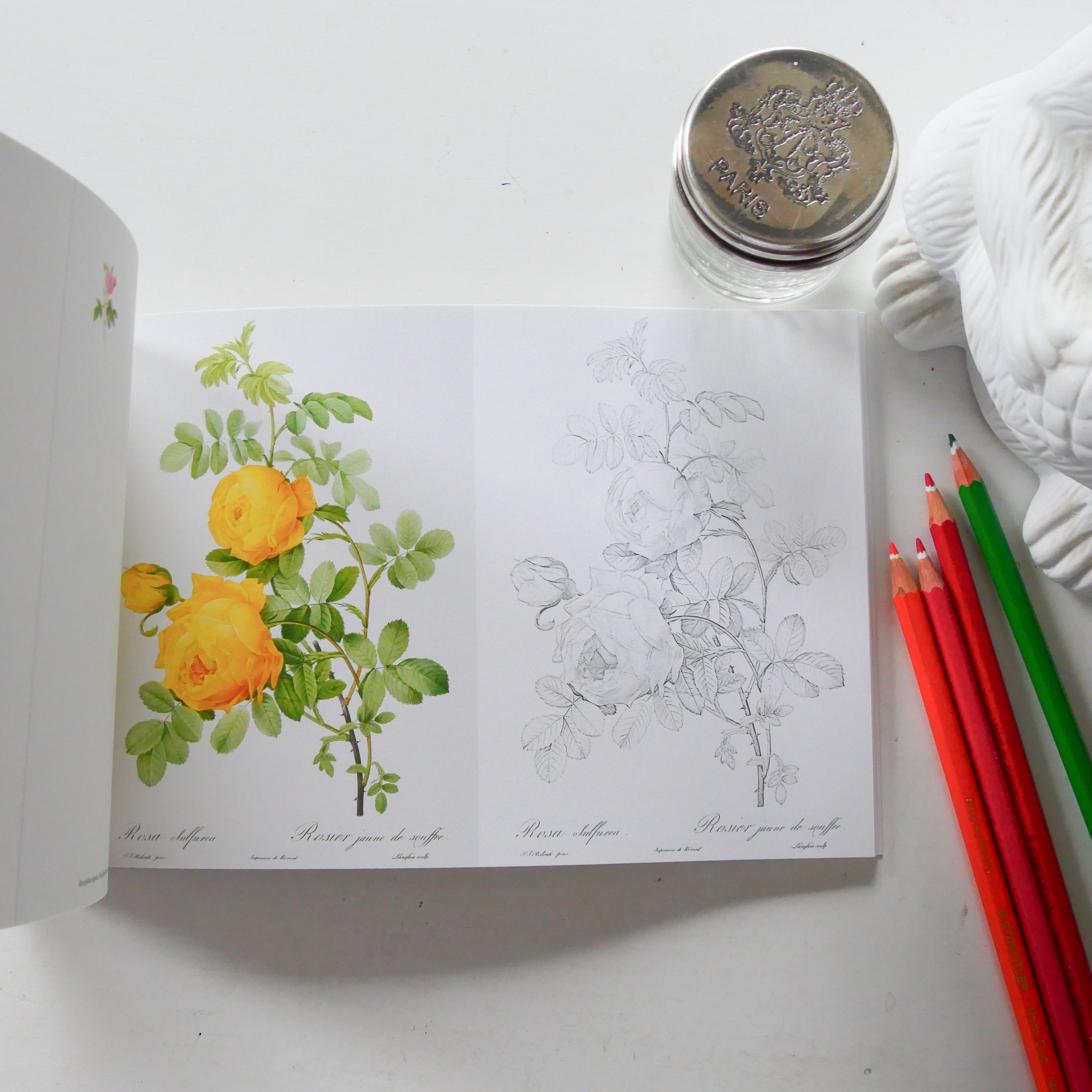 Postcard coloring book: Beautiful Roses by Redoute - from the gold standard of botanical art [Rose Illustrated].