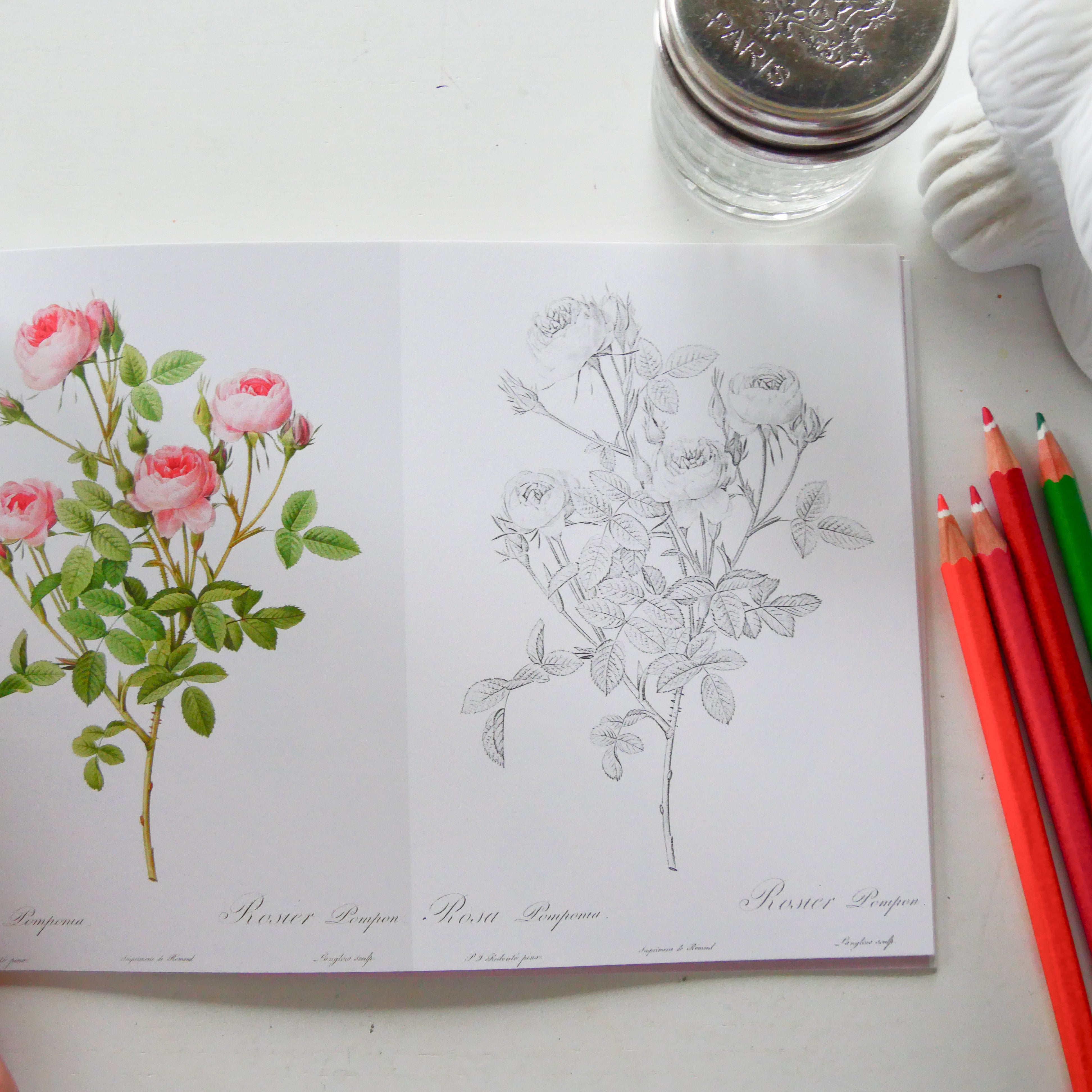 Postcard coloring book: Beautiful Roses by Redoute - from the gold standard of botanical art [Rose Illustrated].