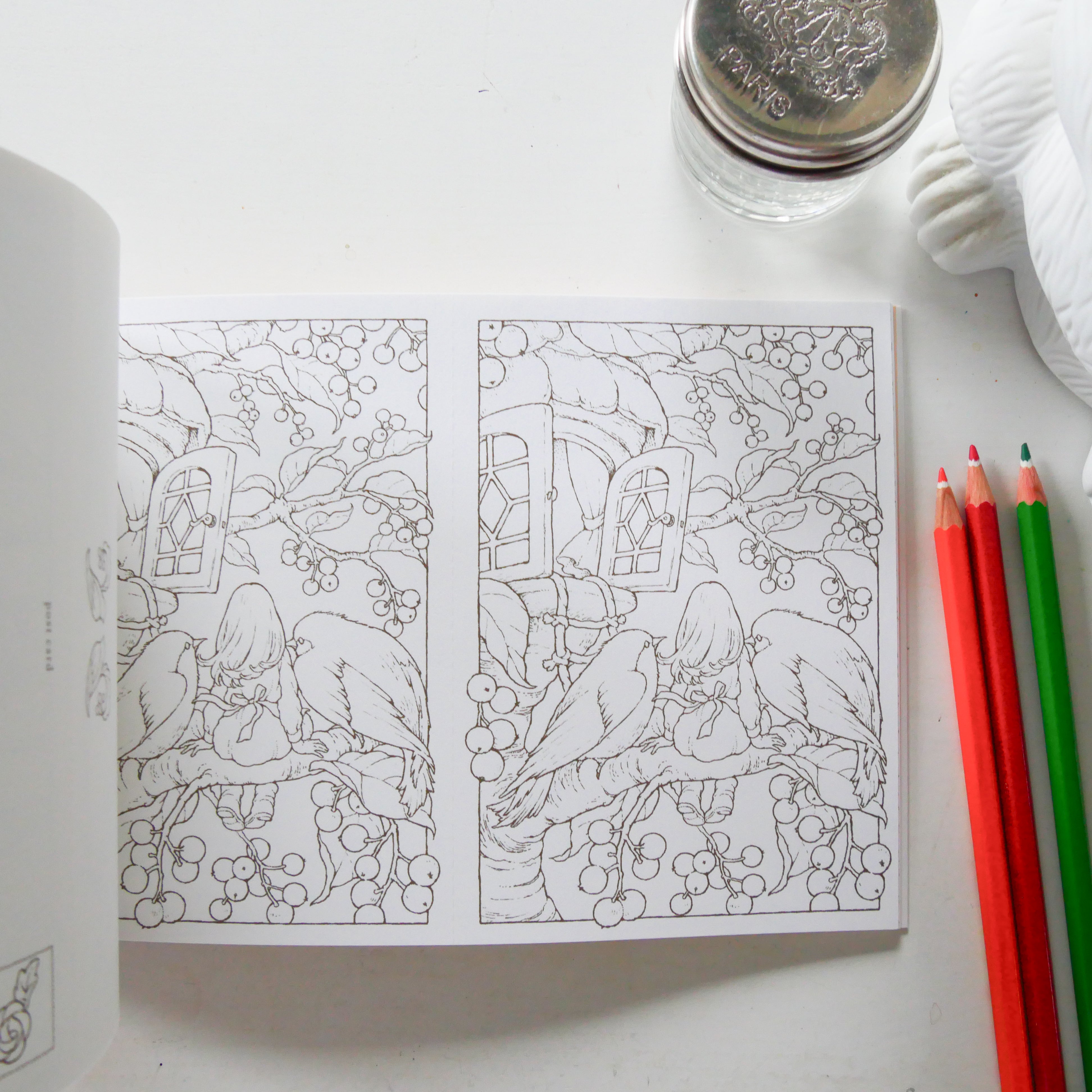 Revised edition of My Coloring Book POSTCARD BOOK: The Story of a Girl in the Woods