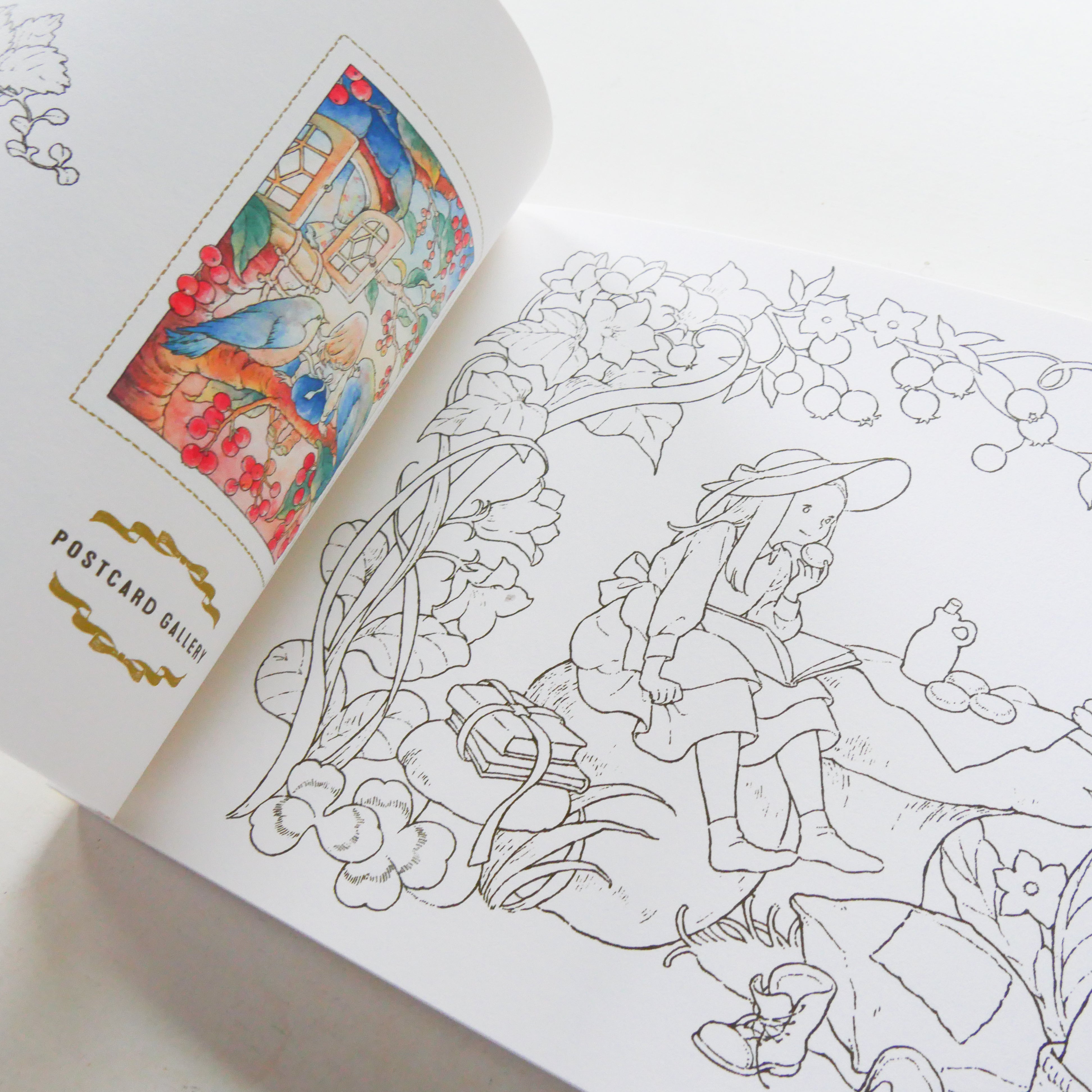 Revised edition of My Coloring Book POSTCARD BOOK: The Story of a Girl in the Woods