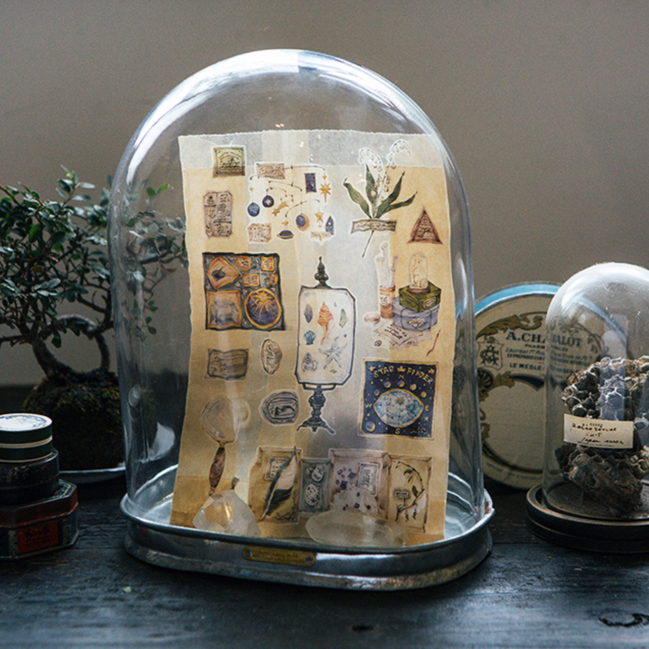 Collections of Museum masking tape
