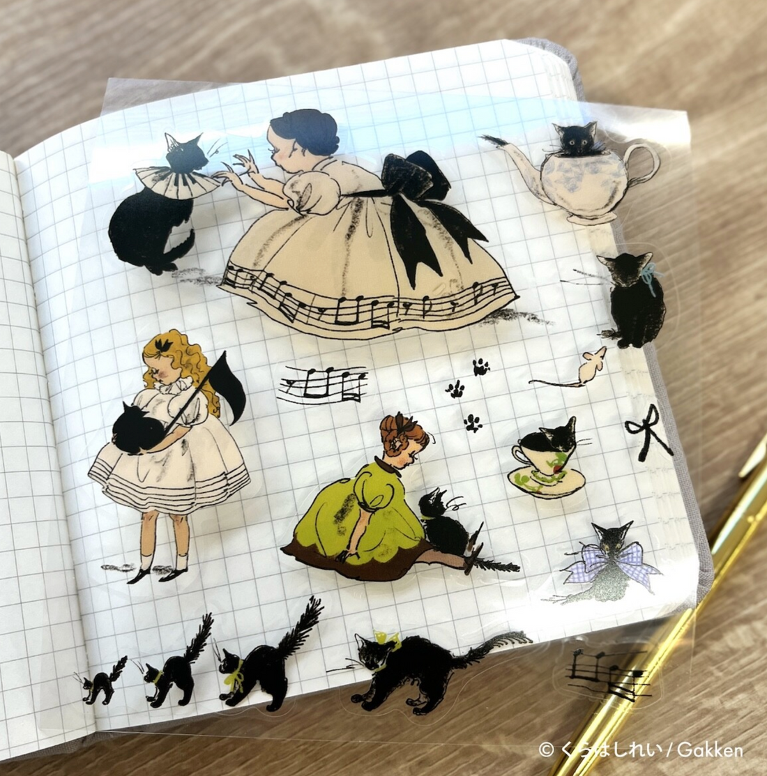 Rei Kurahashi Transparent Seal (black cats)