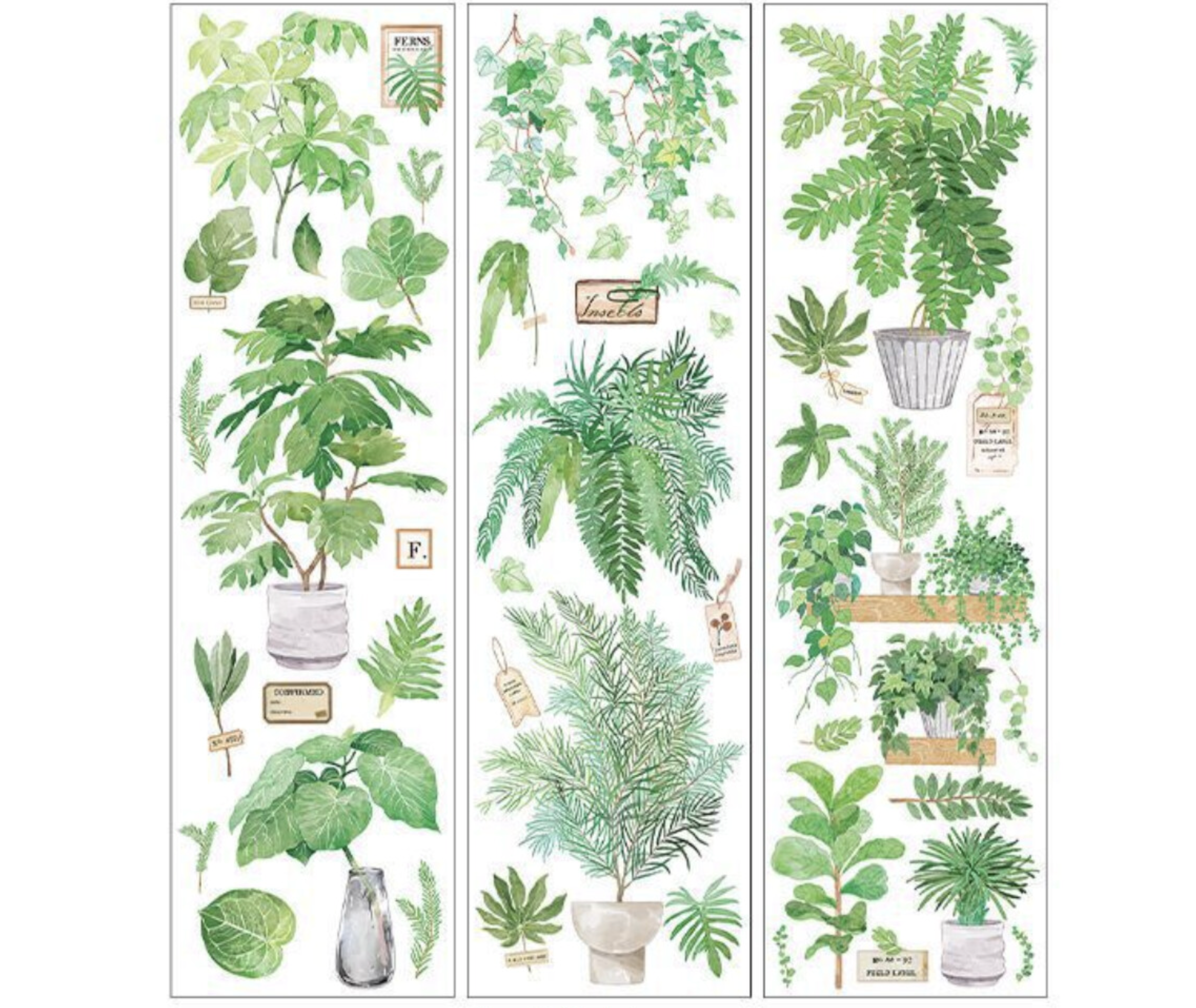 Green PET Transparent Sticker Sheets
