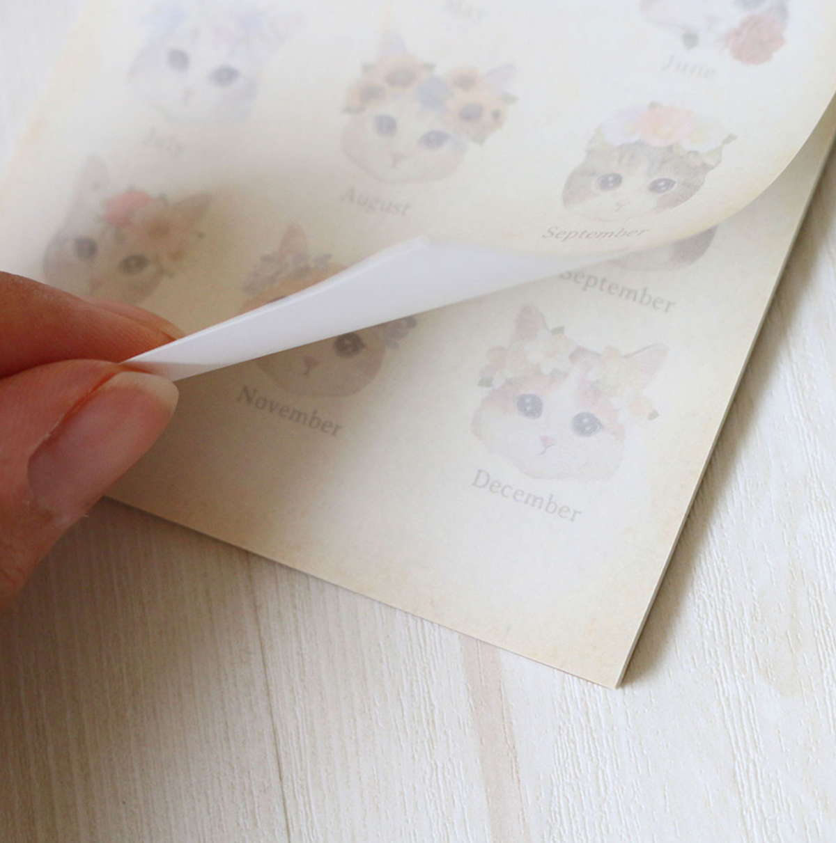 Fleurs & Chats Memo Books